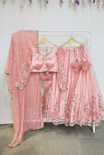 Blush Pink Full Embroidered Lehanga