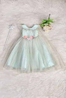 Pastel Green Fairy Theme Gown
