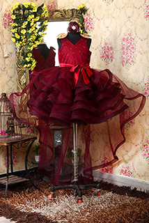 Vine Sequins Fairy Tale Dress