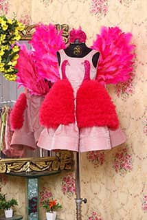 Pink Shimmer Fairy Dress With Wings