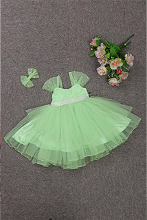 Light Green and Pearl Work Dress