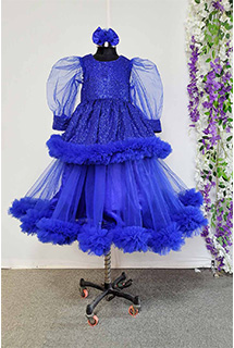 Royal Blue Sequins and Net Gown