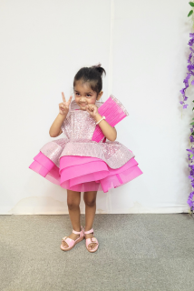 Pink Princess Theme Dress