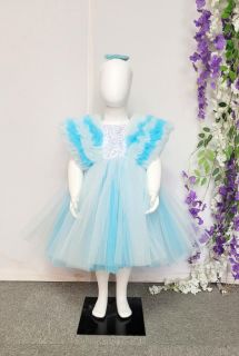 Light Blue and White Net Dress