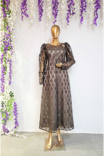 Light Brown Lace fabric Dress