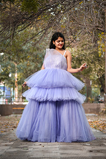 Designer Ruffled Shaded Net Gown