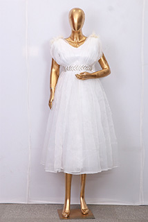 White and Silver Organza Dress