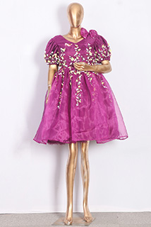 Purple Hand Embroidered Organza Dress